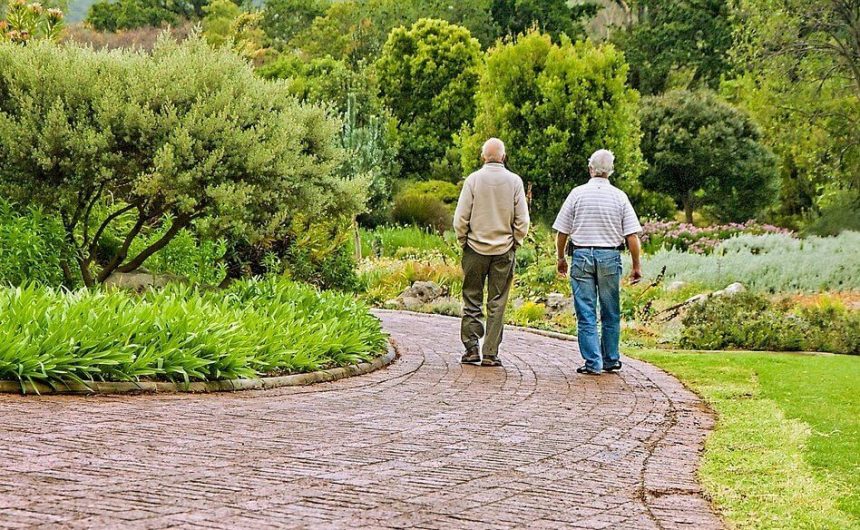 老人走出戶外更活躍更健康