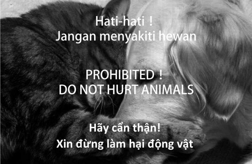 小心!! 保障工作權，傷害貓狗會坐牢